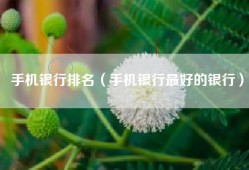 手机银行排名（手机银行最好的银行）