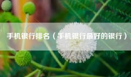 手机银行排名（手机银行最好的银行）
