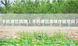 手机微信清理（手机微信清理存储空间）