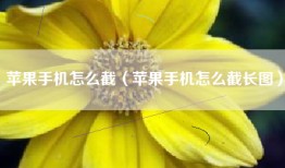 苹果手机怎么截（苹果手机怎么截长图）