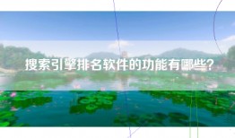 搜索引擎排名软件的功能有哪些？