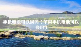 手机电池可以换吗（苹果手机电池可以换吗）