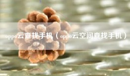 oppo云查找手机（oppo云空间查找手机）