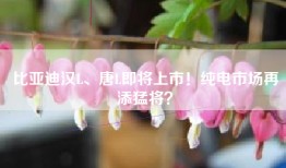 比亚迪汉L、唐L即将上市！纯电市场再添猛将？