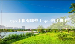 typec手机有哪些（type-c的手机）