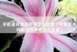 手机麦克风没声音怎么设置（电脑麦克风说话没声音怎么设置）