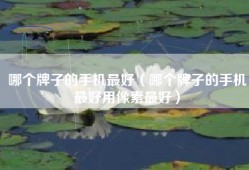 哪个牌子的手机最好（哪个牌子的手机最好用像素最好）