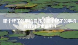 哪个牌子的手机最好（哪个牌子的手机最好用像素最好）