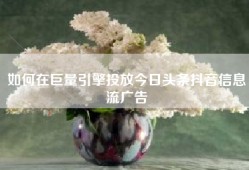 如何在巨量引擎投放今日头条抖音信息流广告