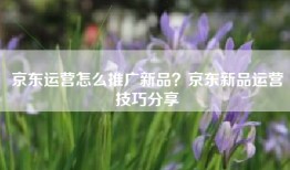 京东运营怎么推广新品？京东新品运营技巧分享