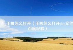 dwg手机怎么打开（手机怎么打开dwg文件百度经验）