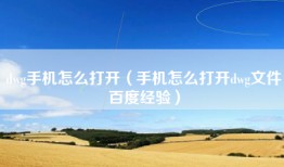 dwg手机怎么打开（手机怎么打开dwg文件百度经验）