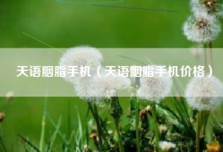 天语胭脂手机（天语胭脂手机价格）
