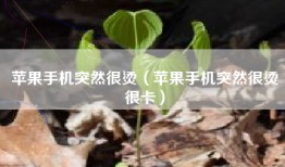 苹果手机突然很烫（苹果手机突然很烫很卡）