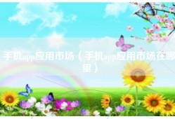 手机app应用市场（手机app应用市场在哪里）