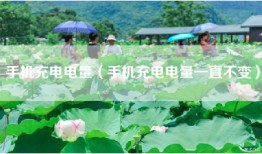 手机充电电量（手机充电电量一直不变）