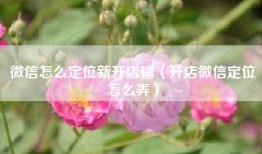 微信怎么定位新开店铺（开店微信定位怎么弄）