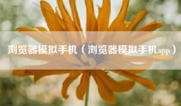浏览器模拟手机（浏览器模拟手机app）