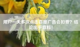 用户一天多次点击百度广告会扣费？结论出乎意料！