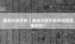 面部识别手机（面部识别手机如何直接输密码）