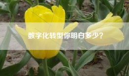 数字化转型你明白多少？
