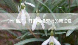 CPM 推广，开启精准营销的新征程
