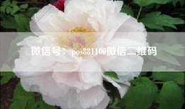 微信号：pos881100微信二维码