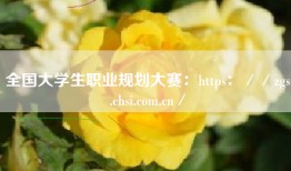 全国大学生职业规划大赛：https：／／zgs.chsi.com.cn／