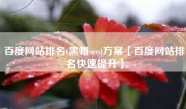 百度网站排名(黑帽seo)方案【百度网站排名快速提升】