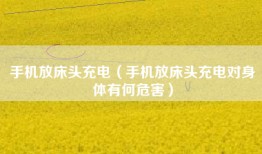 手机放床头充电（手机放床头充电对身体有何危害）