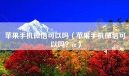苹果手机微信可以吗（苹果手机微信可以吗？m）