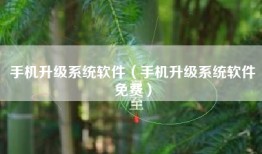 手机升级系统软件（手机升级系统软件免费）