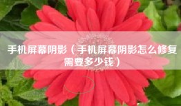手机屏幕阴影（手机屏幕阴影怎么修复需要多少钱）