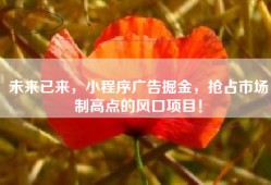 未来已来，小程序广告掘金，抢占市场制高点的风口项目！