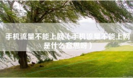 手机流量不能上网（手机流量不能上网是什么意思呀）