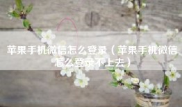 苹果手机微信怎么登录（苹果手机微信怎么登录不上去）