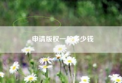 申请版权一般多少钱