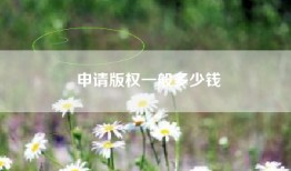 申请版权一般多少钱
