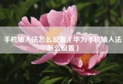 手机输入法怎么设置（华为手机输入法怎么设置）