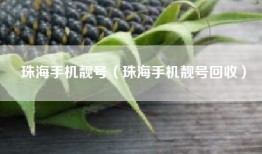 珠海手机靓号（珠海手机靓号回收）