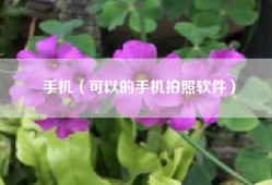 手机（可以的手机拍照软件）