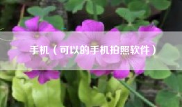 手机（可以的手机拍照软件）