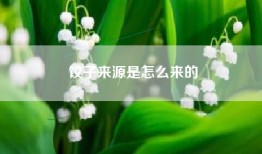 饺子来源是怎么来的