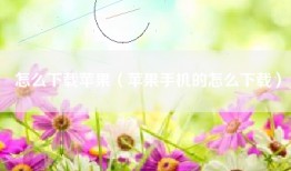 怎么下载苹果(苹果手机的怎么下载)