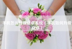 手机怎么升级安卓系统（手机如何升级安卓）