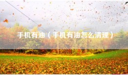 手机有油（手机有油怎么清理）