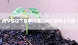 台球游戏下载手机版（台球游戏中文版）