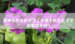 苹果手机关机不了（苹果手机关机不了屏幕按不动）