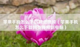 苹果手机怎么下载网页视频（苹果手机怎么下载网页视频到电脑）