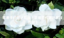 苹果手机激活教程（苹果手机激活教程图片）
